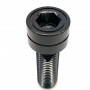 Stainless Steel Parallel Head Socket Cap Bolt A4 M10 x (1.25mm) x 30mm - DIN 912