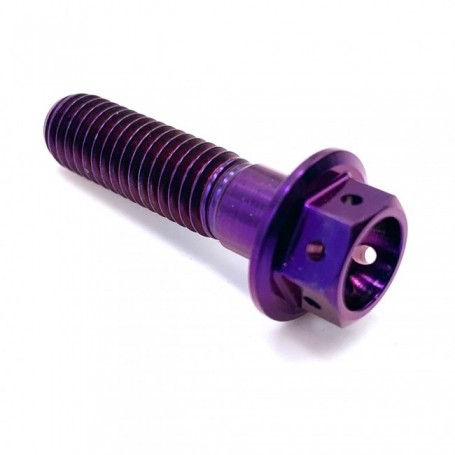 vis-titane-hexgaonale-race-moto-M10-x-150mm-x-25mm Violet