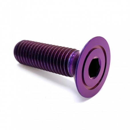 Vis Titane Fraisée en Titane M10 x (1.25mm) x 30mm Violet